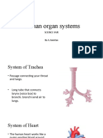 Human Organ Systems