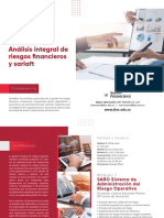 Riesgos Financieros PDF