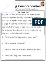 Reading Comprehension Grade 1 The Black Cat PDF