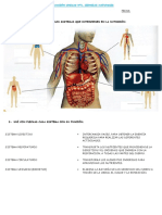 Sistemas Del Cuerpo PDF