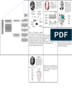 Panel Pre Entrega PDF