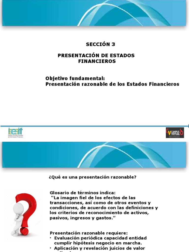 Presentación Razonable de EEFF | PDF | Estado financiero | Contabilidad