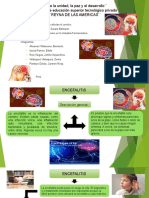 GRUPO 05. Microorganismo Que Afectan El Cerebro