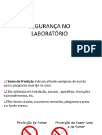 Seguran+ºa No Laborat+ Rio PDF