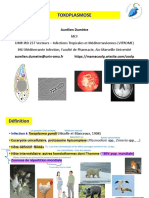 Toxoplasmose PDF