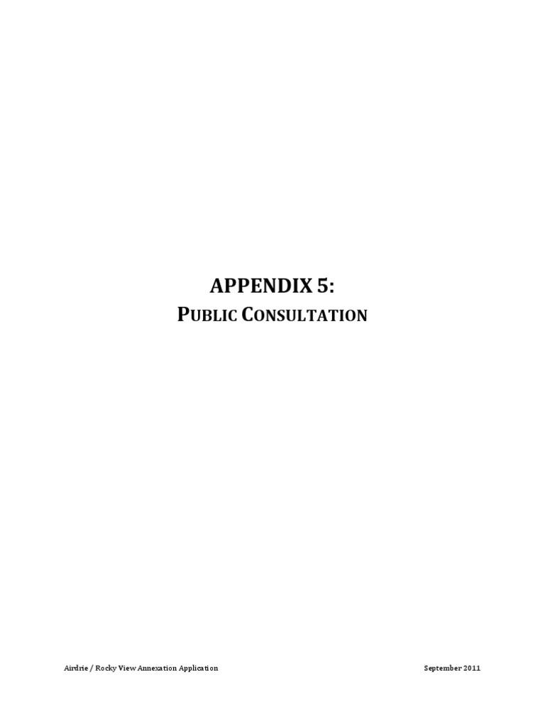 Appendix 5: Public Consultation | PDF | Taxes | World Wide Web