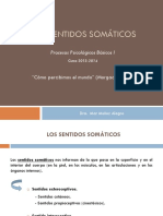 Los Sentidos Somáticos PDF