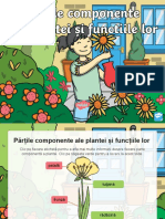 Partile Componente Ale Plantei Si Functiile Lor Prezentare Powerpoint PDF