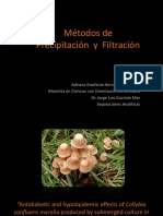 94932873-Precipitacion-y-Filtracion.pdf