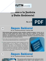 Unidad 6 - Acceso A La Justicia y Daño Ambiental - Wetzel PDF