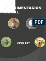 Experimentacion Animal PDF