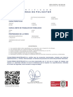 Esp2 PL1 50 Am PDF