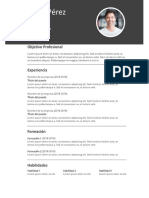 CVJaime PDF