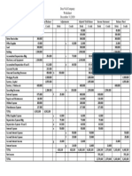 DeceVid Company Final Worksheet PDF