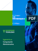 ICD - Ingeniería en Computacion Administrativa - Plan de Estudio - Digital16x16 PDF