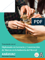 D. Gerencia y Construccioìn de Marcas en La Industria Del Mezcal PDF