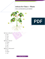 GK Questions on Plant Parts for Class 1