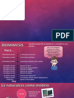 Biomimesis PDF