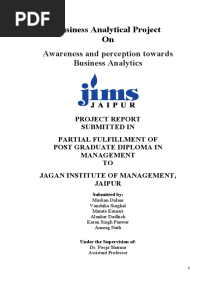 Business Analytical Project