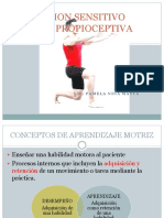 Educacion Sensitivo Motriz y Propioceptiva PDF