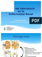 Enfermedad Renal