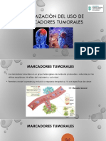 Optimización Uso MT PDF