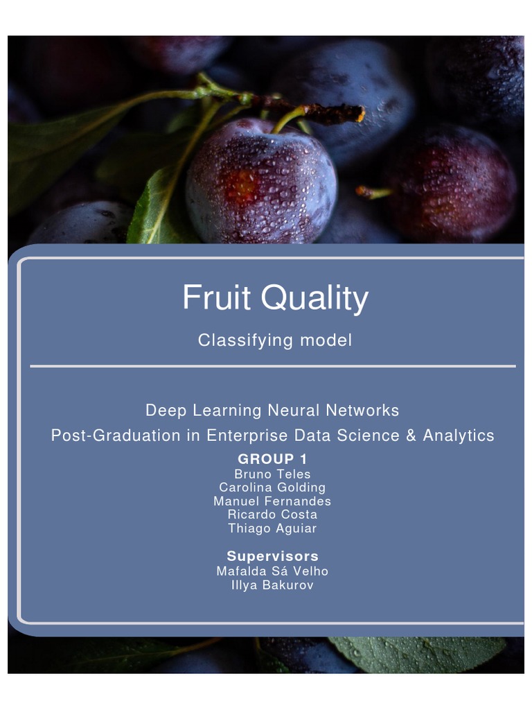 CNNs for Fruit Quality Classification | PDF