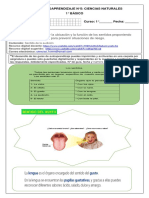 Ciencias Guía-N°5 1° PDF