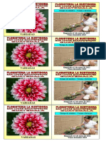 Flores Variadas.2 PDF