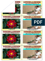 Flores Variadas.1 PDF