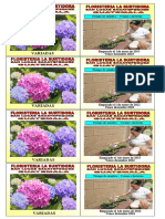 Flores Variadas.6 PDF