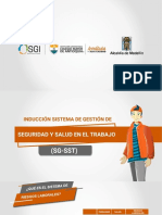 Induccionsg SST PDF