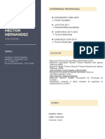 215 Curriculum Vitae Plantilla CV Word Gratis