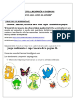 Ciencias Retro-Guìa-Nº5 2º PDF