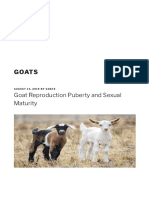 Goat Reproduction Puberty and Sexual Maturity - Goats