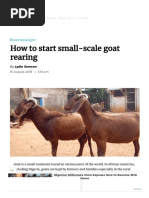 How To Start Small-Scale Goat Rearing: Businessagro
