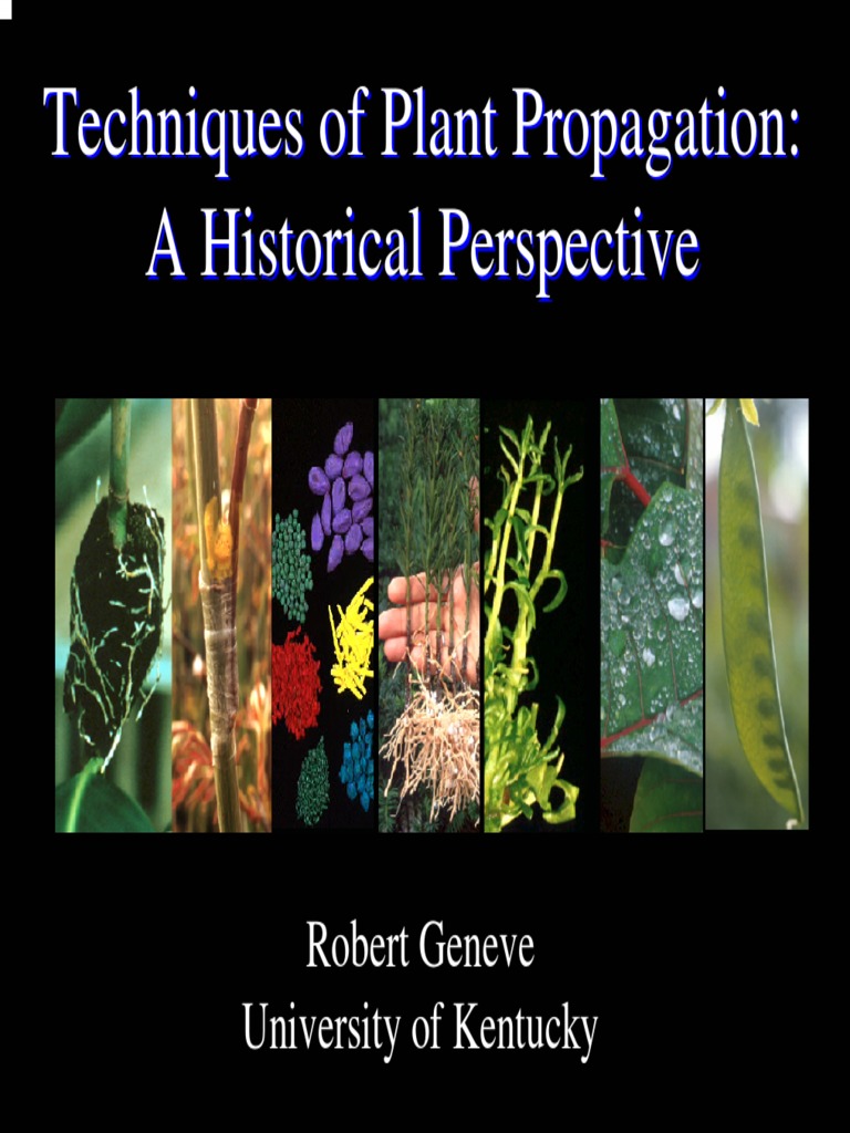 Historical Techniques in Plant Propagation | PDF | Seed | Grafting
