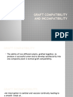 PPT Compatibility