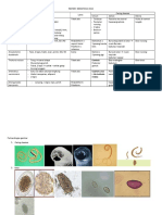 REVIEW NEMATODA USUS DENGAN PERBANDINGAN GAMBAR