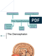 Hypothalamus Assignment