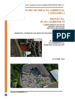 EsIA CAT1 PLAZAALBROOK53 PDF