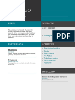 Curriculum Vitae Santiago Acosta PDF