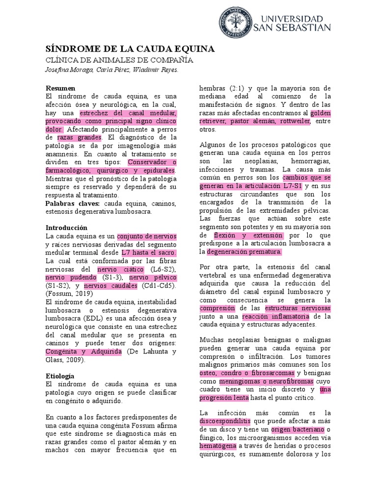 CAUDA EQUINA.pdf PDF