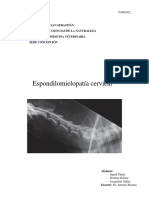 Espondimielopatia Cervical Completo PDF