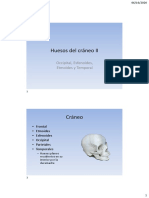 Huesos Del Craneo Ii 2020 PDF