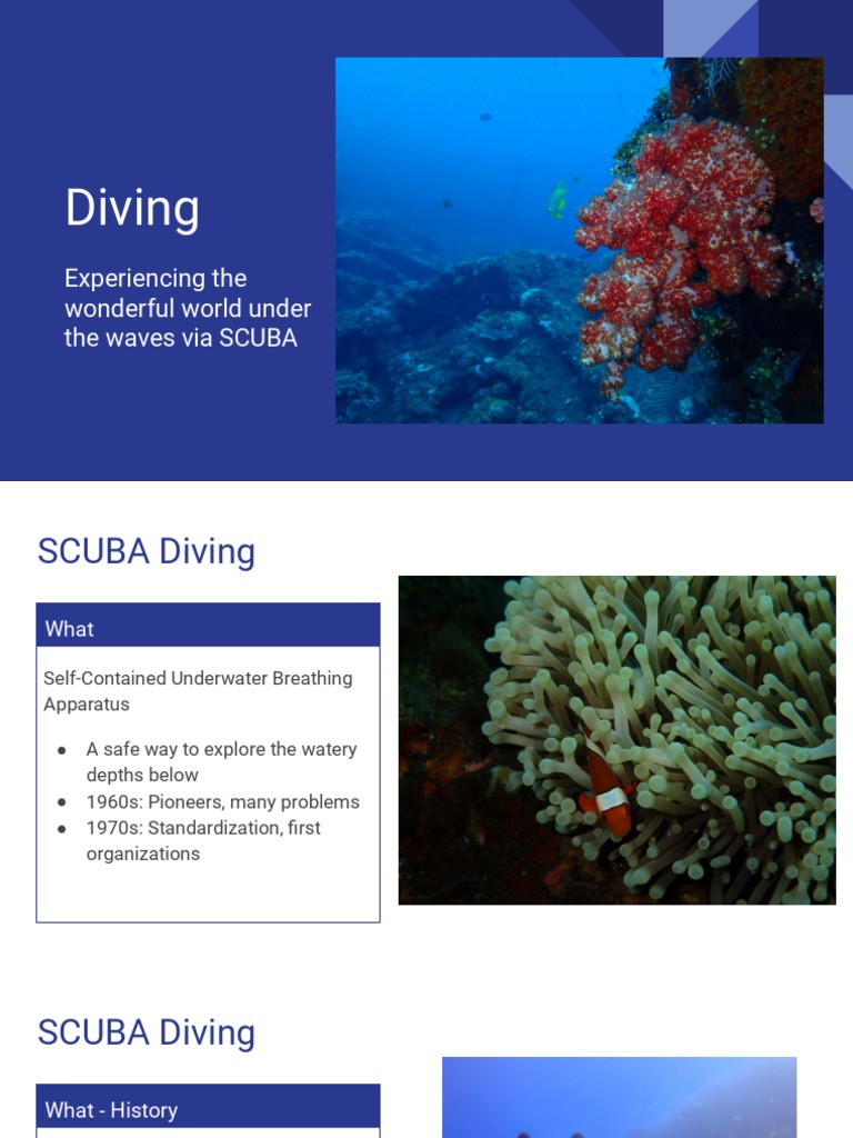 SCUBA Diving Facts and Pictures PDF Scuba Diving Underwater Diving