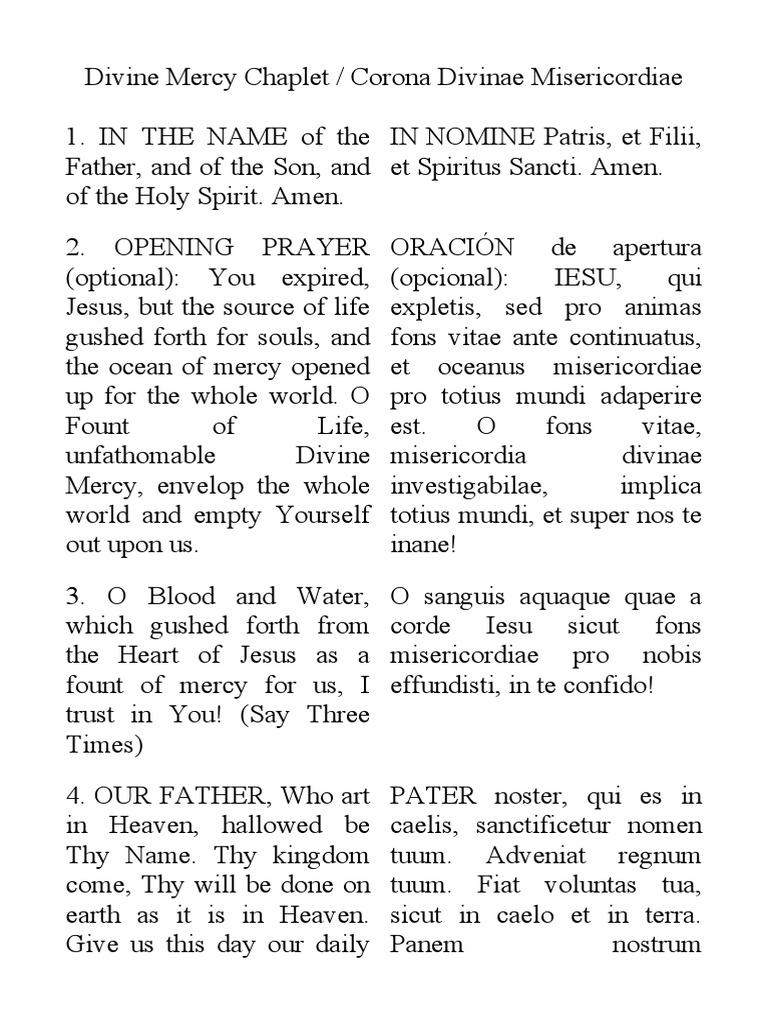 Divine Mercy Chaplet Guide | PDF
