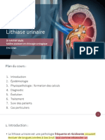 Lithiase Urinaire 