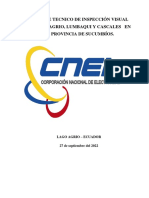 Informe de Inspección en Sucursales de CNEL PDF