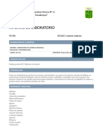 Informe Hidratos de Carbono Lab. Química Orgánica